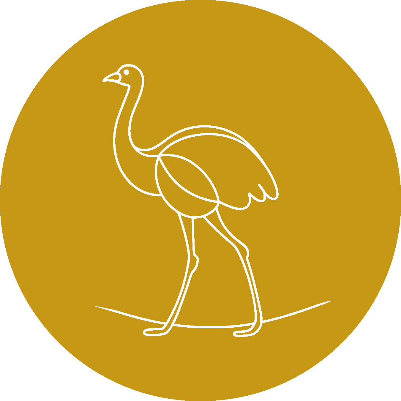 R5684RTrohans